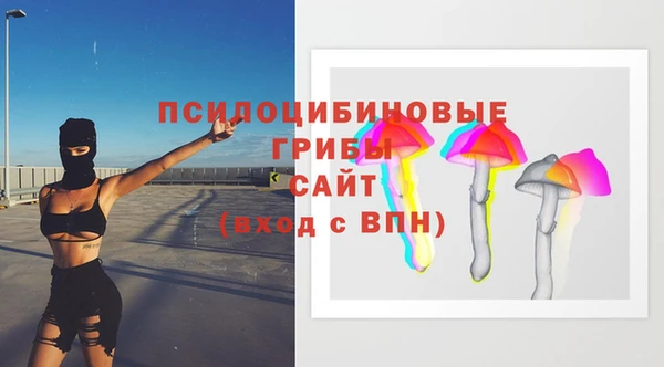 твердый Алексин