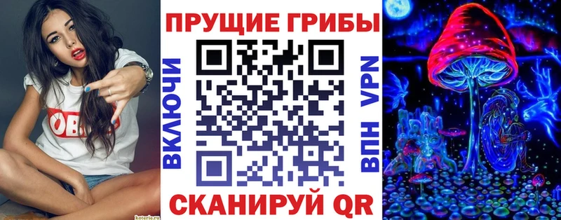 Псилоцибиновые грибы Psilocybine cubensis Тамбов