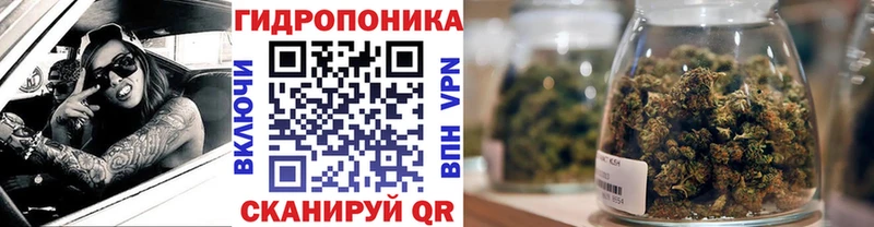 Канабис OG Kush  Тамбов 
